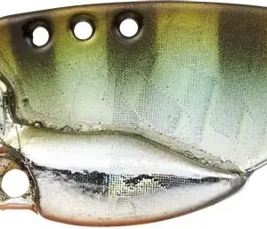 Little Max TG Muscle