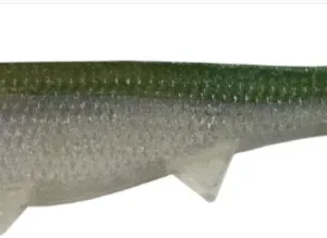 Baby Boom Boom Weedless