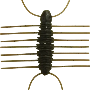 Miharamushi Pellet Bug