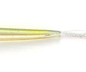Rainbow Shad